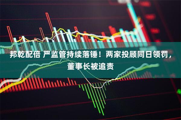 邦乾配倍 严监管持续落锤！两家投顾同日领罚，董事长被追责