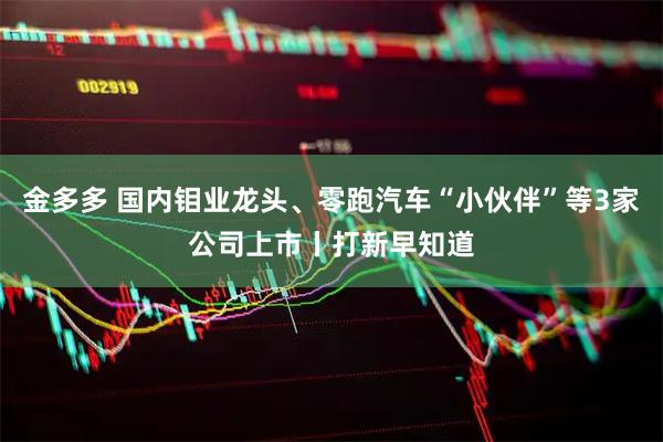金多多 国内钼业龙头、零跑汽车“小伙伴”等3家公司上市丨打新早知道