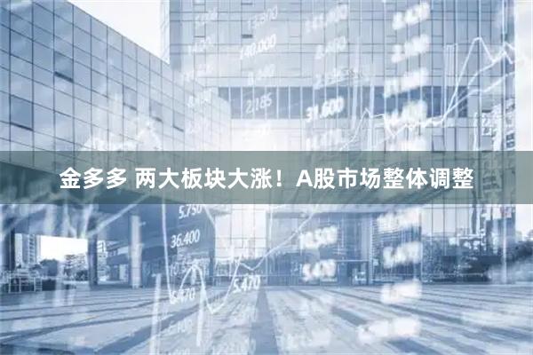 金多多 两大板块大涨！A股市场整体调整