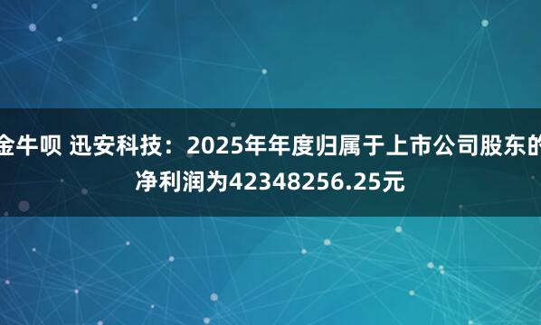 金牛呗 迅安科技：2025年年度归属于上市公司股东的净利润为42348256.25元
