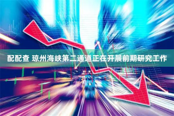 配配查 琼州海峡第二通道正在开展前期研究工作