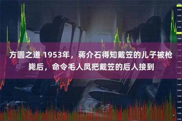 方圆之道 1953年，蒋介石得知戴笠的儿子被枪毙后，命令毛人凤把戴笠的后人接到