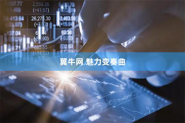 翼牛网 魅力变奏曲