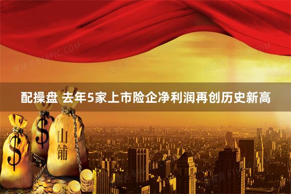配操盘 去年5家上市险企净利润再创历史新高