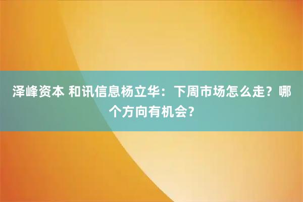 泽峰资本 和讯信息杨立华：下周市场怎么走？哪个方向有机会？
