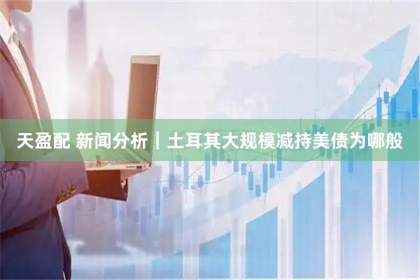 天盈配 新闻分析｜土耳其大规模减持美债为哪般