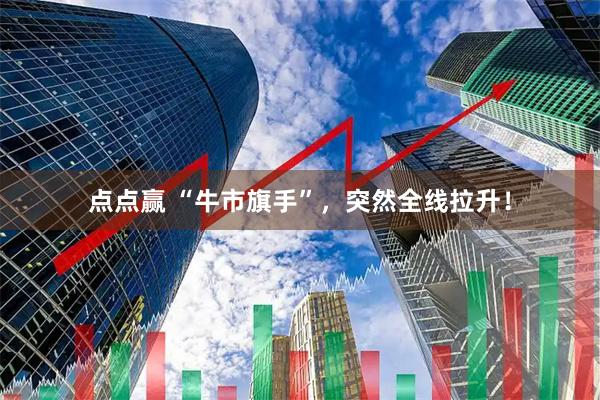 点点赢 “牛市旗手”，突然全线拉升！