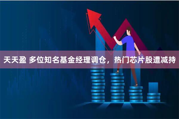 天天盈 多位知名基金经理调仓，热门芯片股遭减持