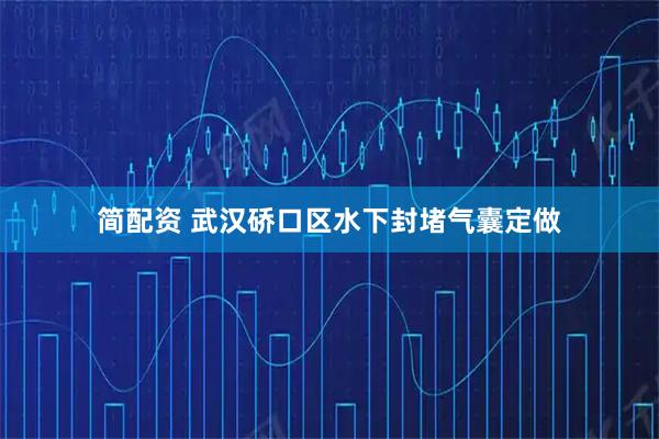 简配资 武汉硚口区水下封堵气囊定做