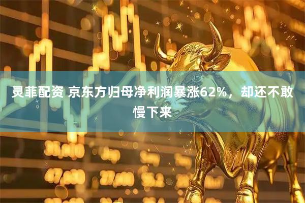 灵菲配资 京东方归母净利润暴涨62%,却还不敢慢下来